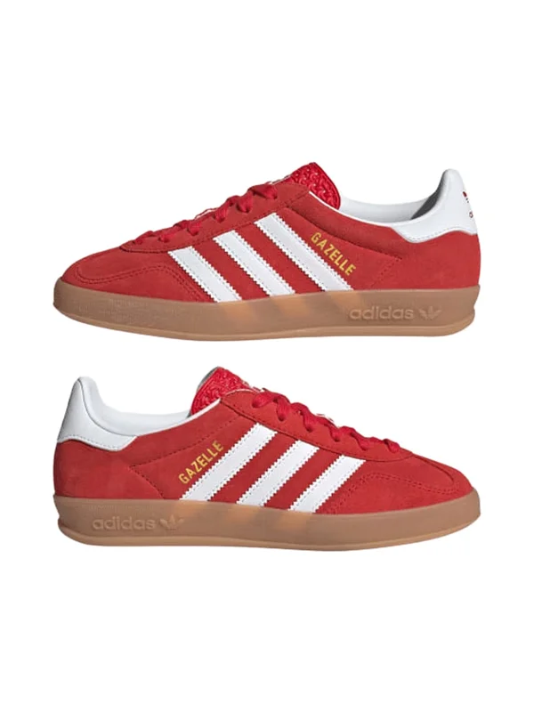 Gazelle Indoor
