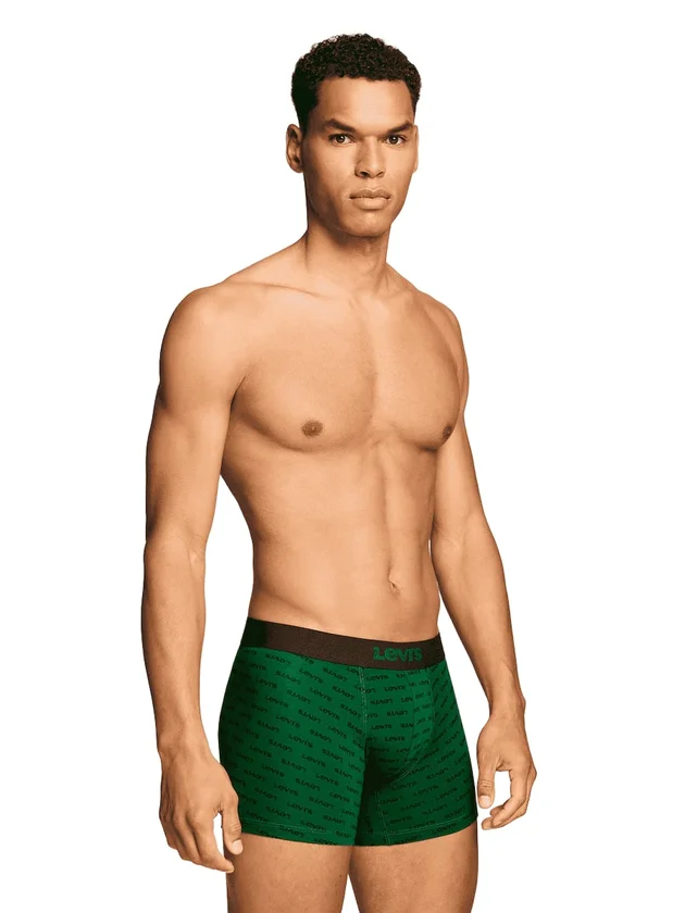 Logo Aop Boxer Brief 2P