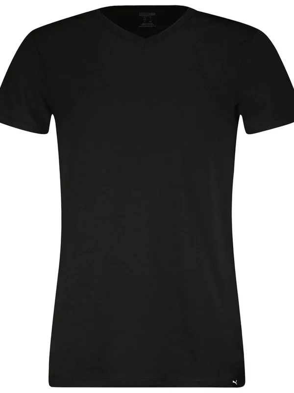 Everyday V Neck Tee 2P