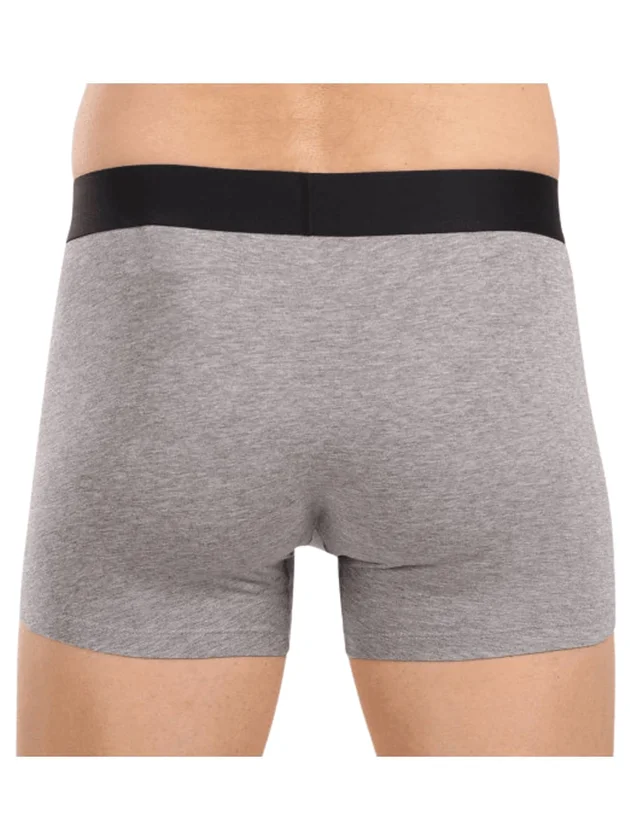 Everyday Placed Logo Boxers 2P