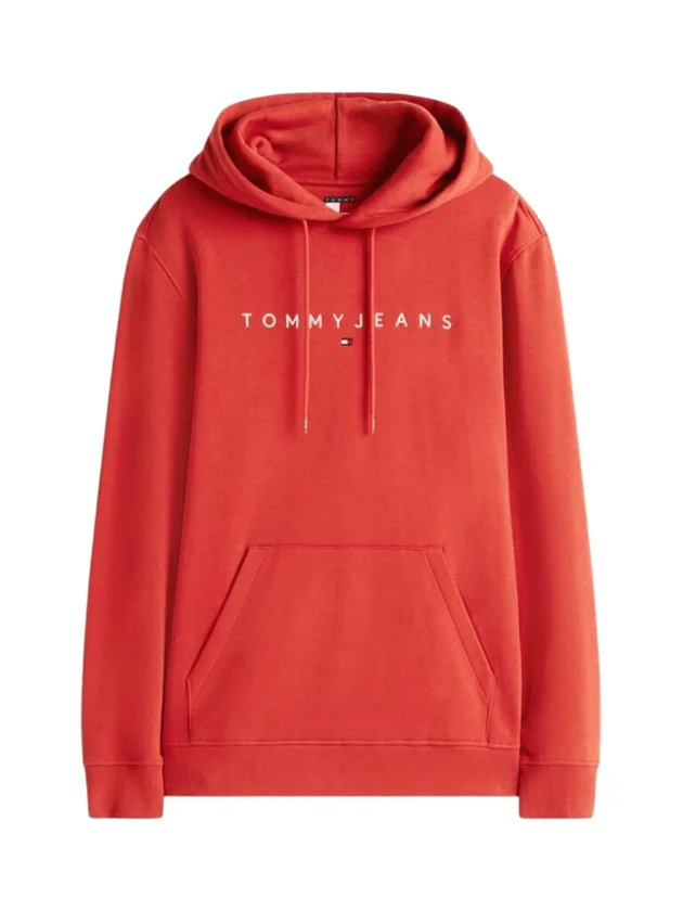 Reg Linear Logo Hoodie Ext