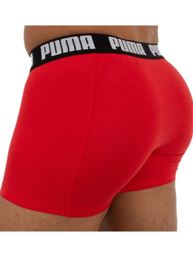 Basic Boxer 2P
