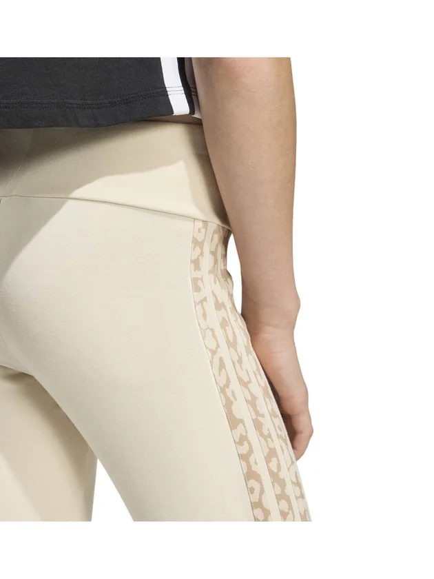 An 3S Leg