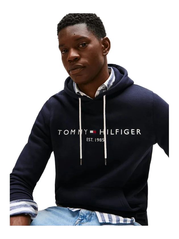 Core Tommy Logo Hoody
