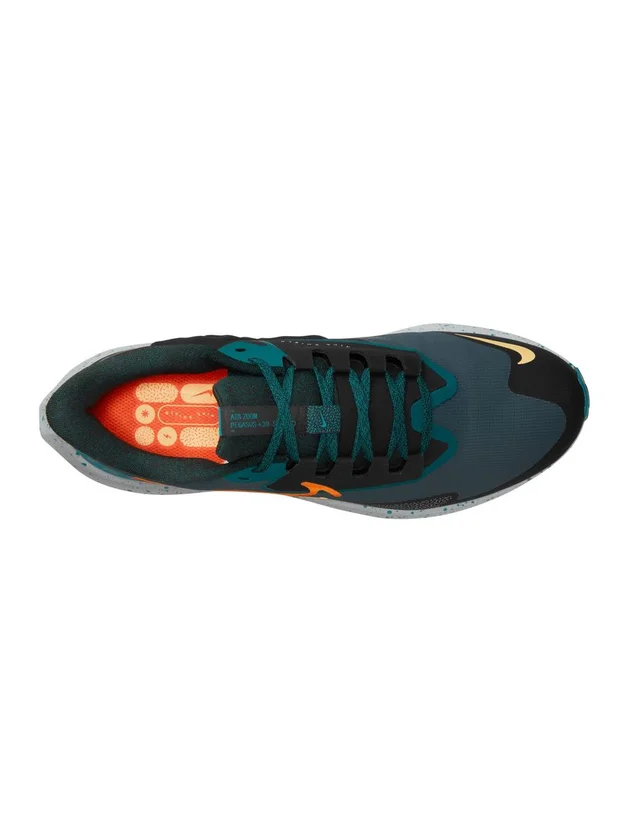 Air Zoom Pegasus Shield