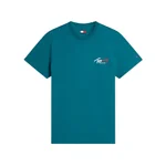 POLAR TEAL