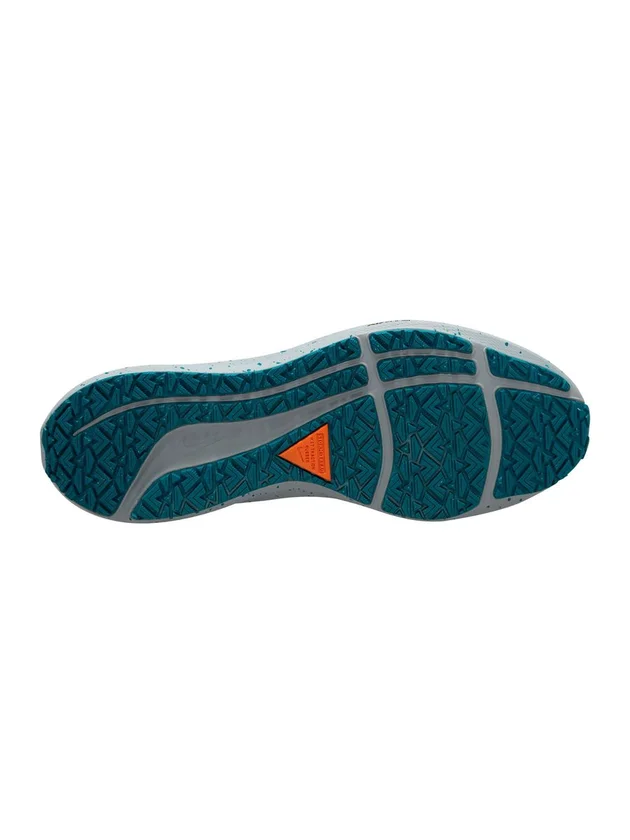 Air Zoom Pegasus Shield