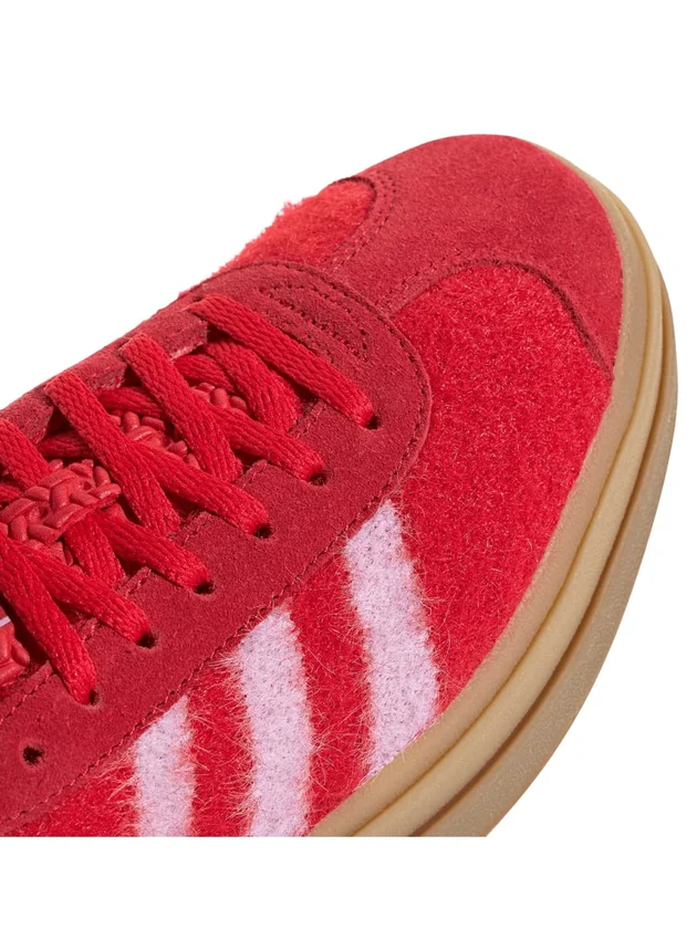 Gazelle Bold