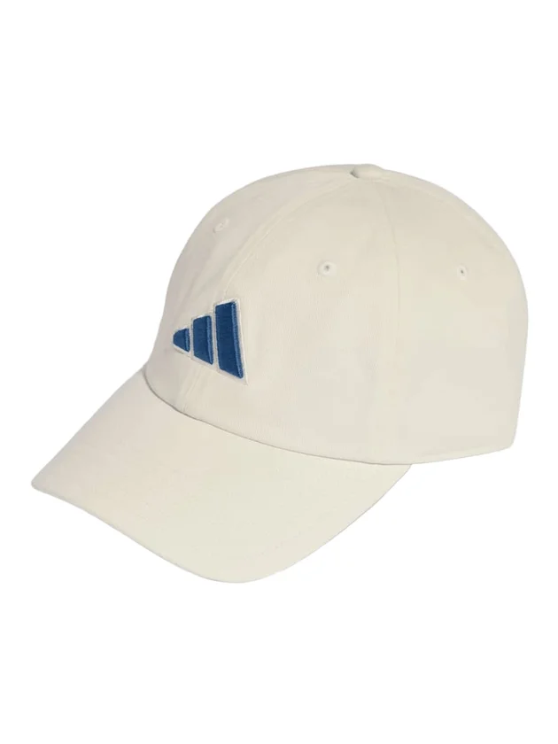 Dad Cap Big Log