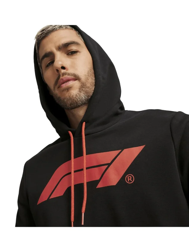 F1 Ess Logo Hoodie