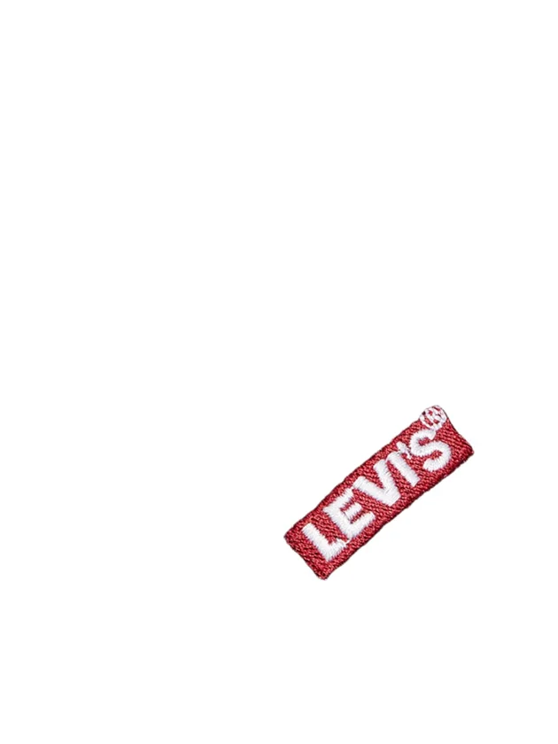 Beanie Baby Tab Logo