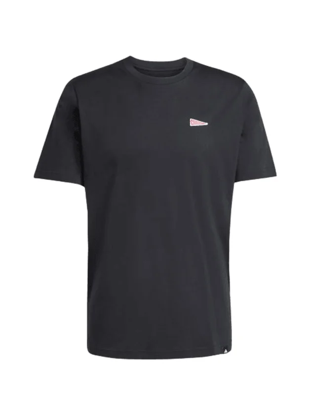 Pennant T