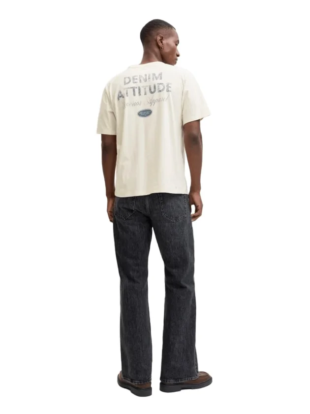 Jjedover Graphic Tee Ss Crew Neck Sn
