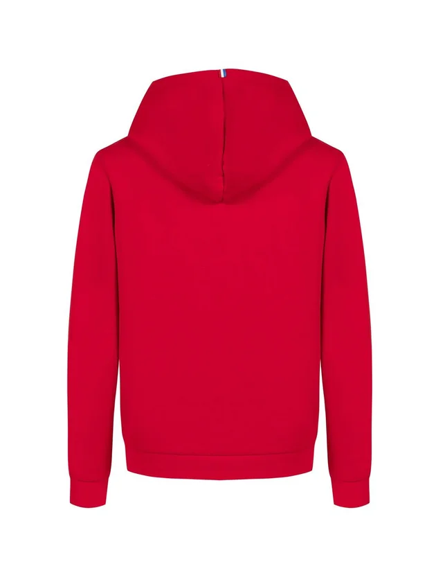 Ess Hoody N1