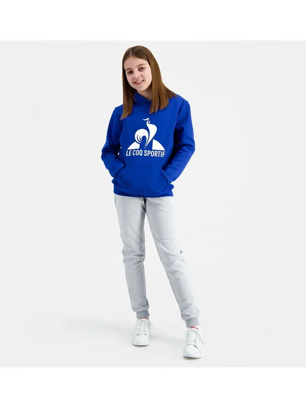 Ess Hoody N3