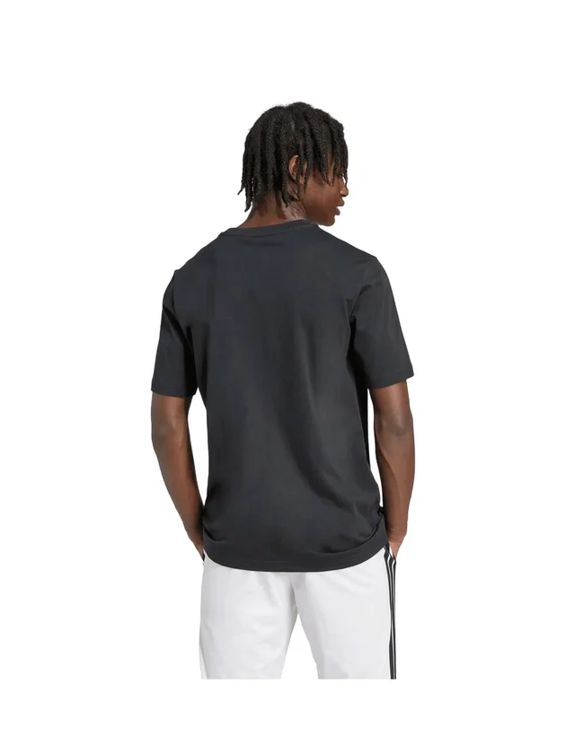 Pennant T