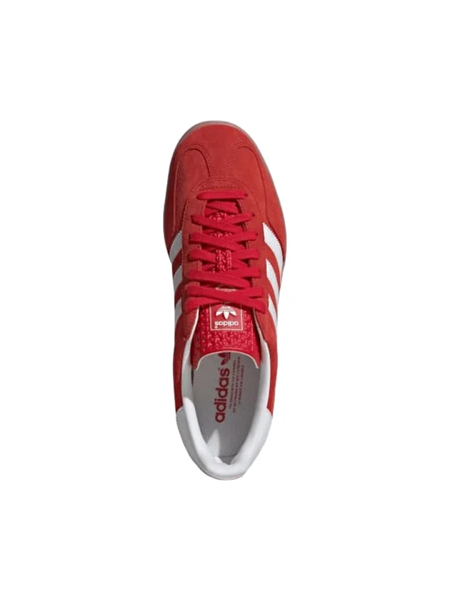 Gazelle Indoor