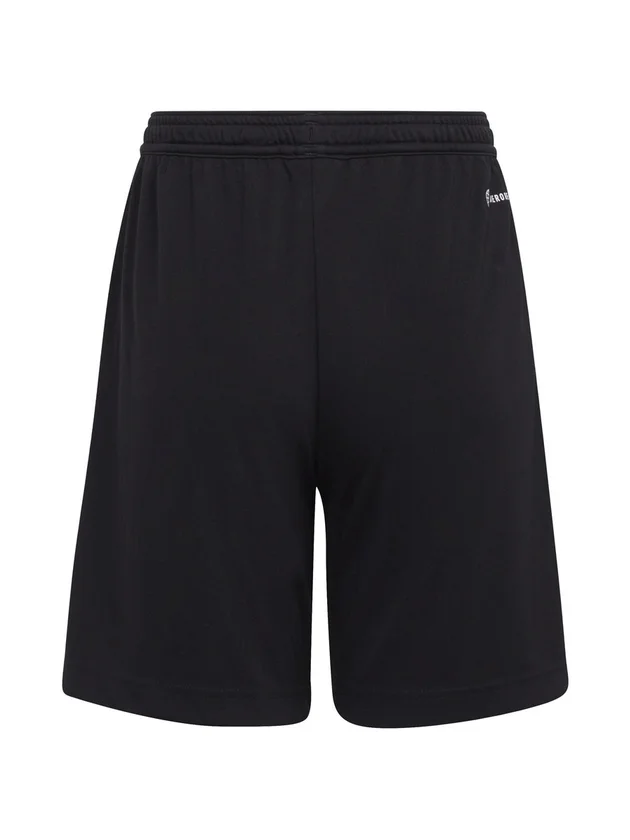 Entrada 22 Short