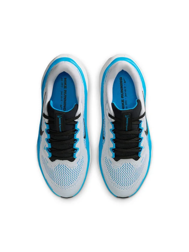 Air Zoom Pegasus 41