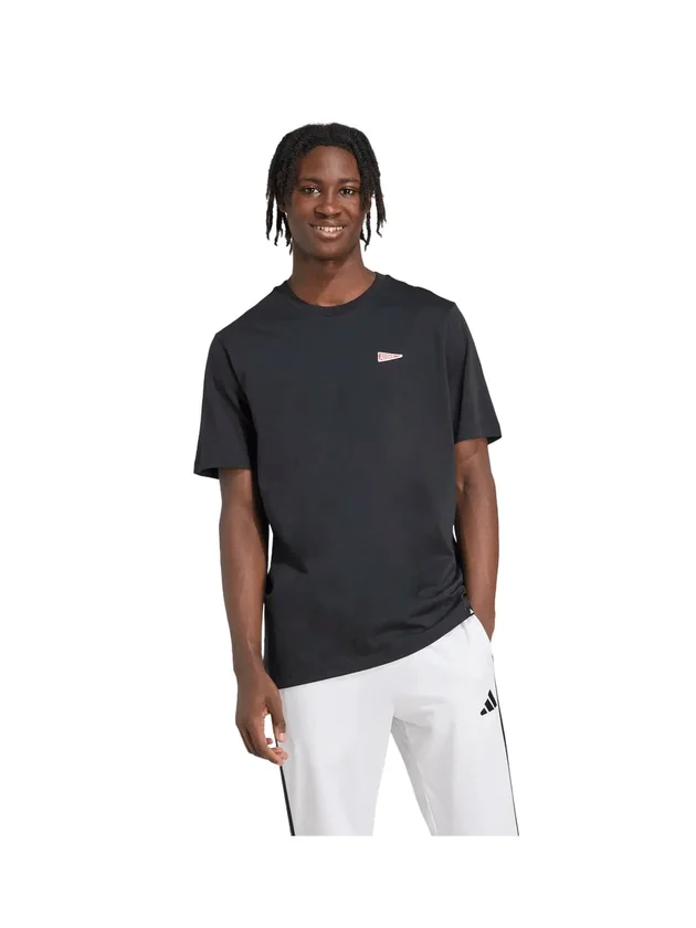 Pennant T