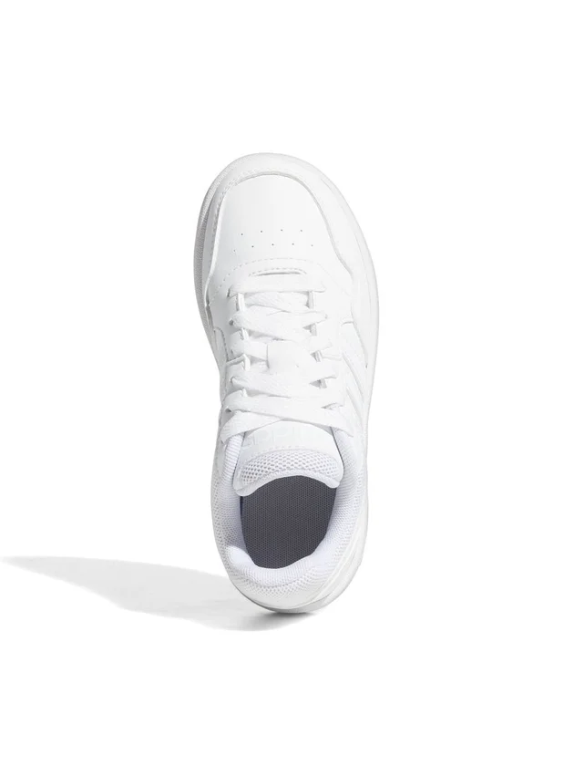 Hoops 3.0