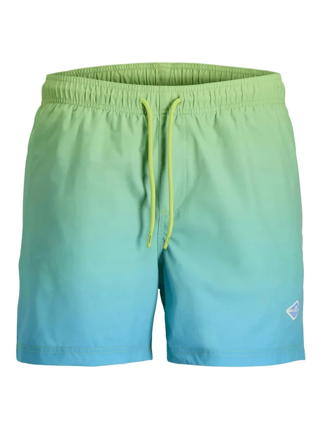 Horizon Dip Dye Swim Shorts