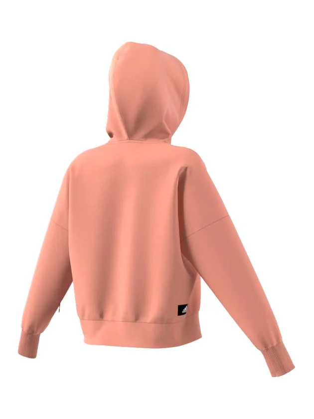 Fi 3B Hoodie