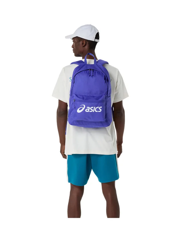 Back Pack 25