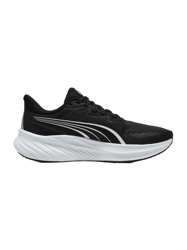 Pounce Lite 2