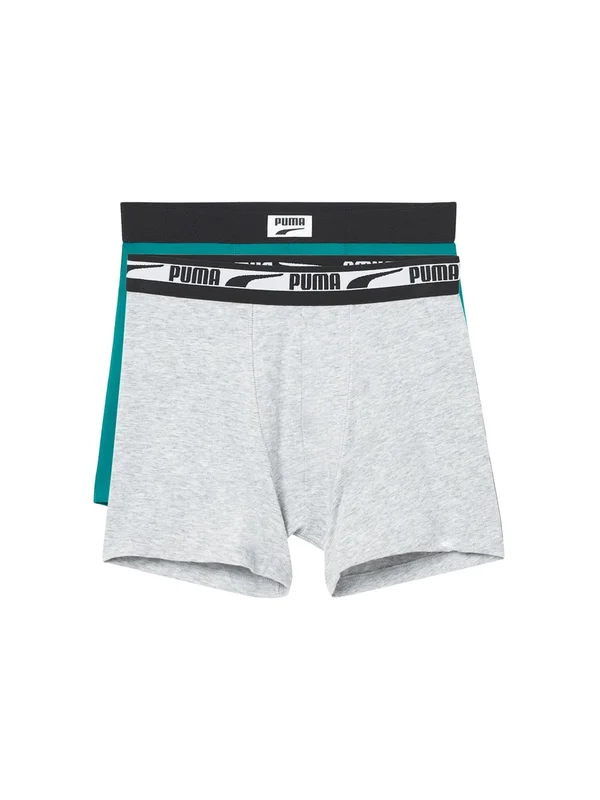 Logo Patch Boxer 2P