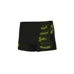 BLACK-ARTIC LIME