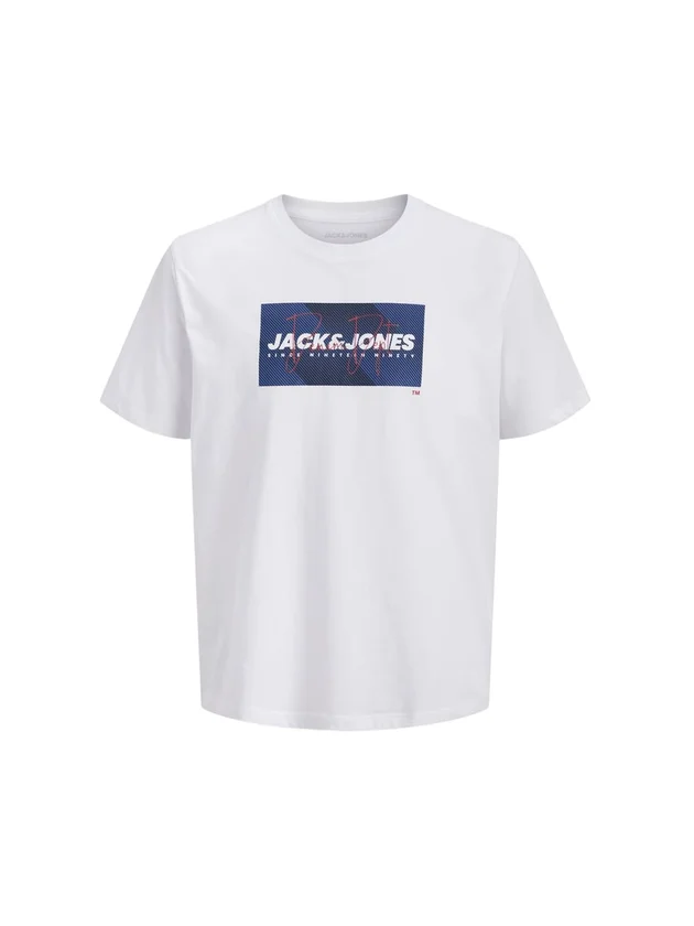 Jjcole Print Tee Ss Crew Neck Ln