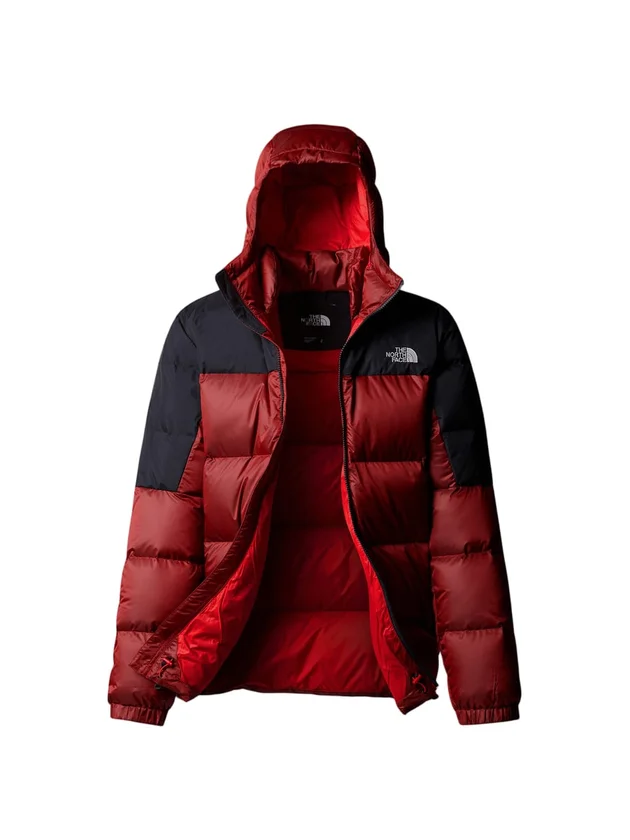 Diablo Down 2.0 Hoodie
