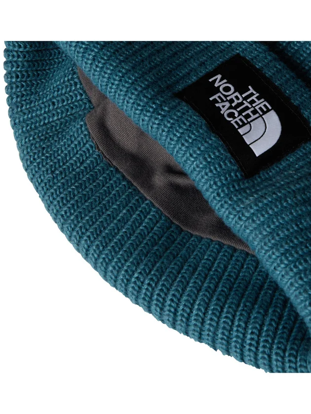 Salty Lined Beanie