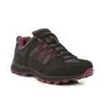 BLACK/PURPLE