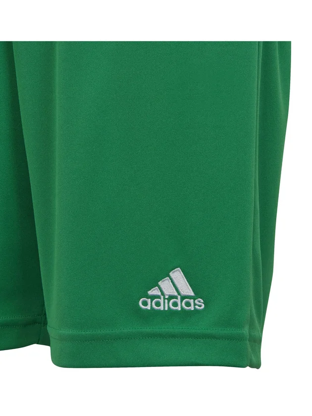 Entrada 22 Short