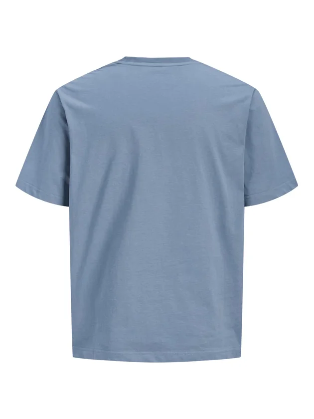 Jjarchive Graphic Tee Ss O Neck Noos