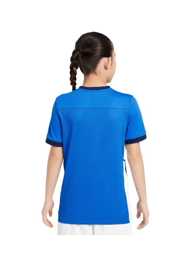 Dri-FIT Academy 25 SS Top
