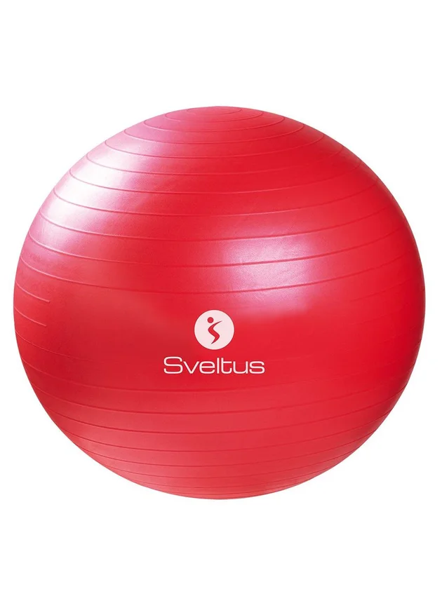 Gymball 65 Cm Bte