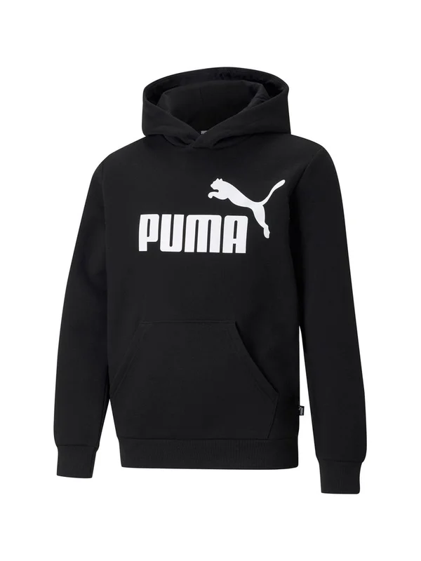 Ess Logo Hoody Fl
