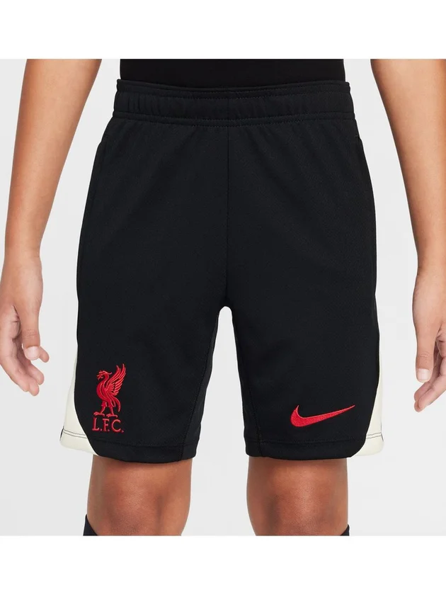 Liverpool Dri-FIT Strike Special Edition
