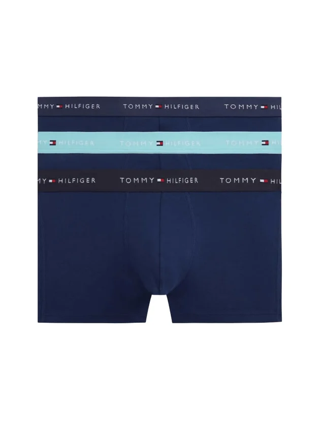 3P Trunk WB