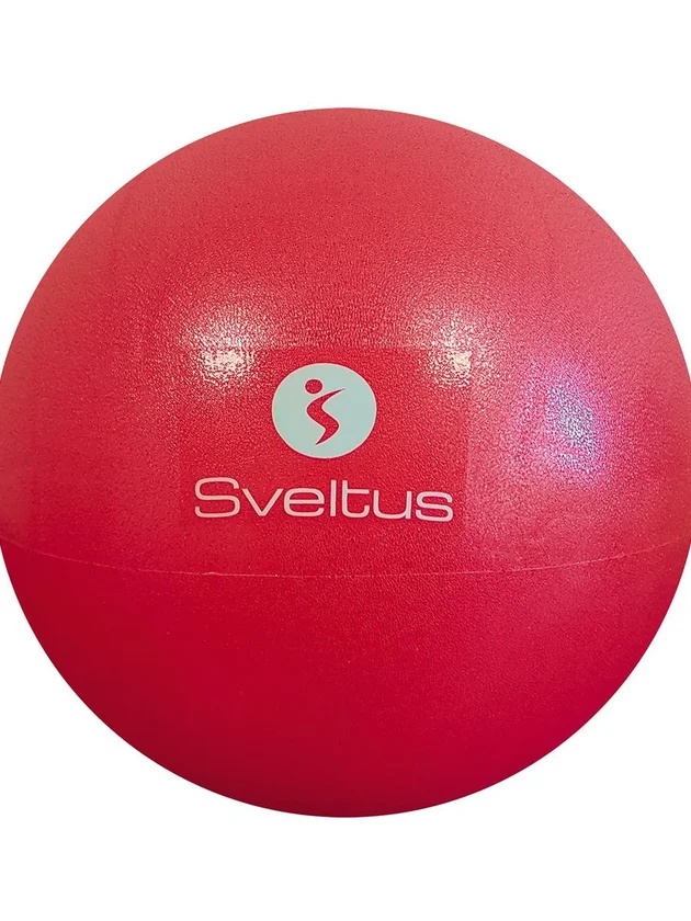 Ballon Pédagogique 22 24 Cm Bte