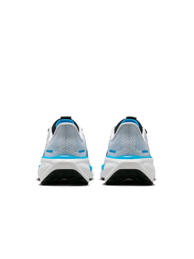 Air Zoom Pegasus 41