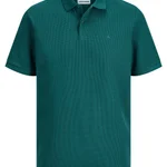 VETIVER / DETAIL:CLASSIC