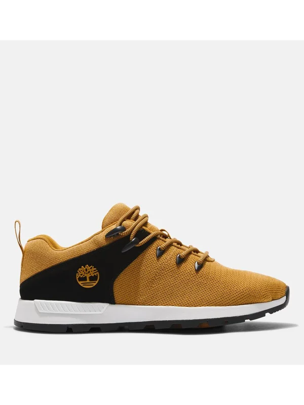 Low Lace Up Sneaker