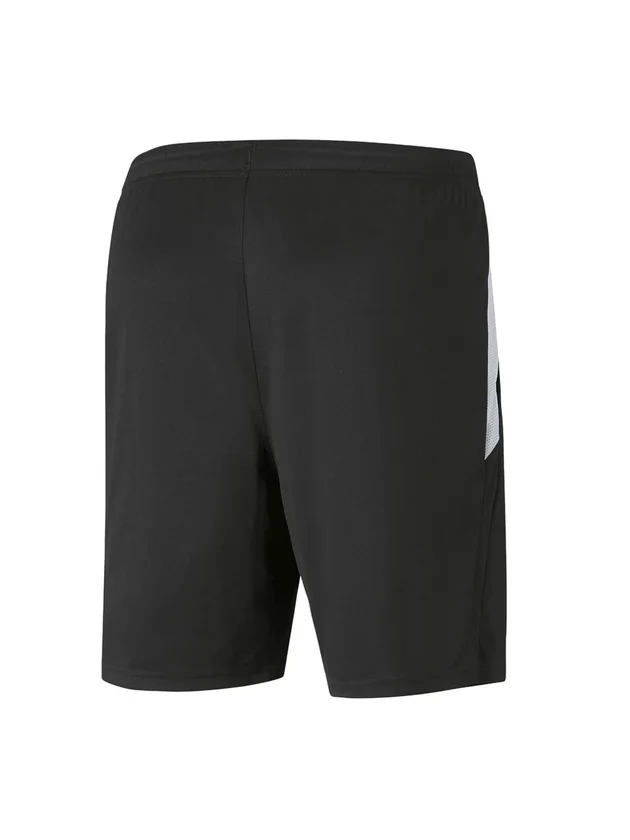 Teamliga Training Shorts