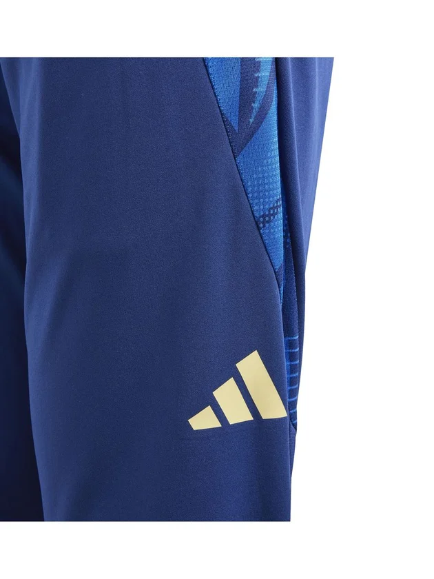 Figc Tr Pnty