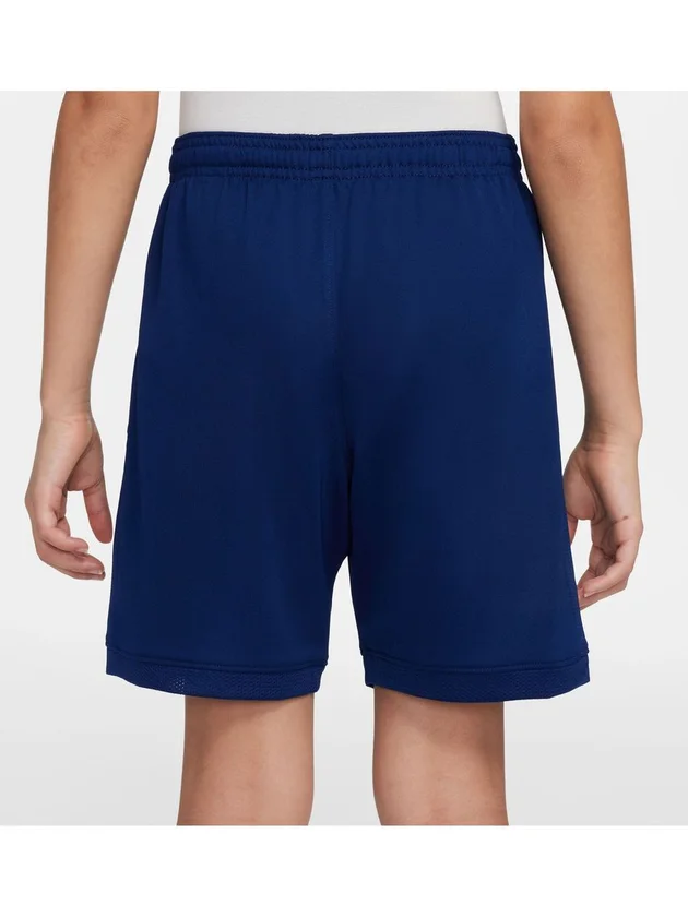 Dri-FIT Academy25 Short