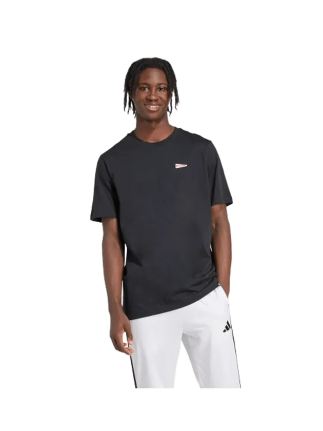 Pennant T